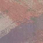 Ouzeri2 © 1991-2025 Teal Tide Studios