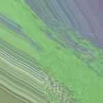 Ouzeri3 © 2002-2025 Teal Tide Studios