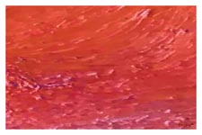 Postcard Collection: Far Away - Image 4