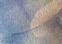 8 Greeting Cards: Leaf