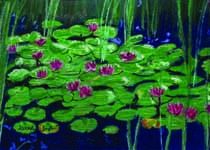 Lily Pads