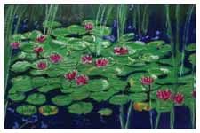 Lily Pads